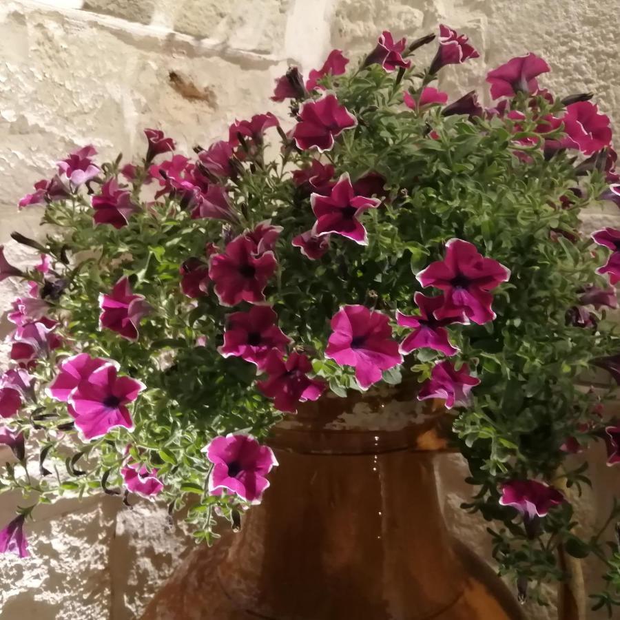 Annas Trulli Paradise-Alberobello Martina Franca Eksteriør billede
